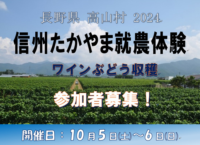 信州たかやま就農体験（ワインぶどう収獲）を開催します