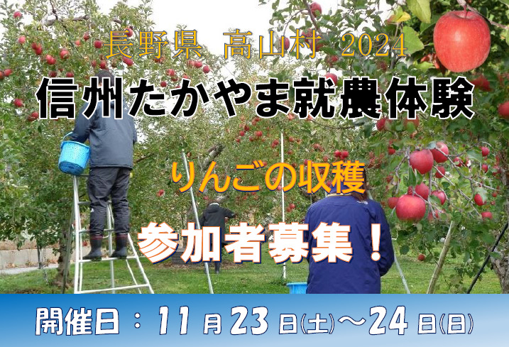 信州たかやま就農体験（りんご収穫）の参加者を募集します！